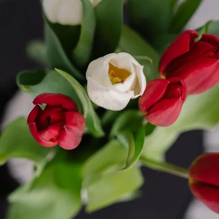 Willa Sorriso - Beach, Seaview, Pool Pláka